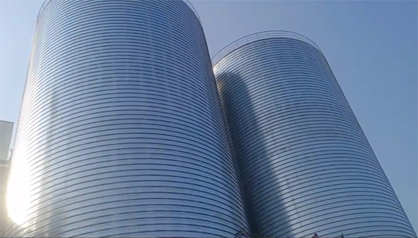 横栏镇2座混凝土高架卷板仓